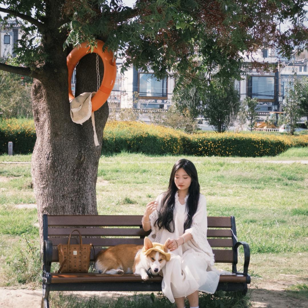我有三只猫