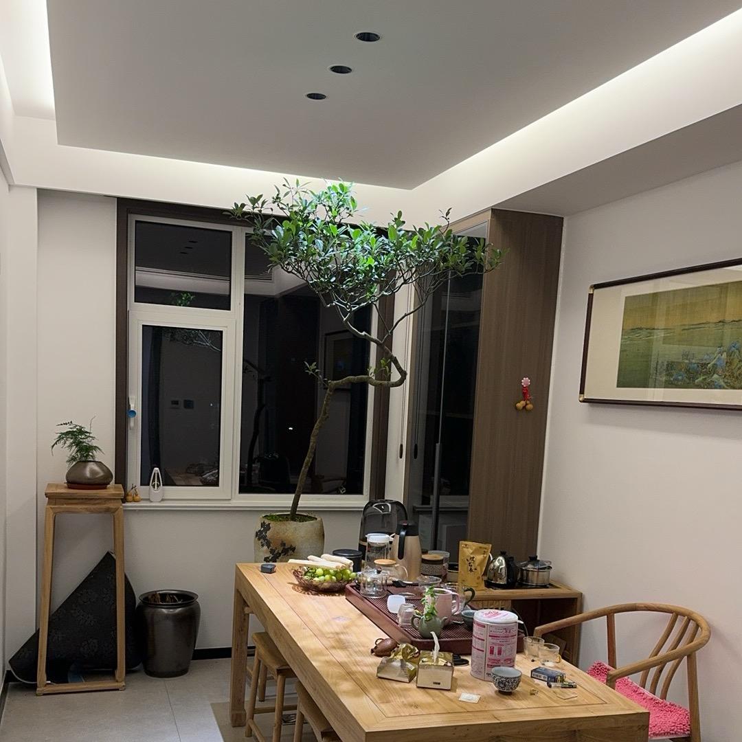 青州市博林定制