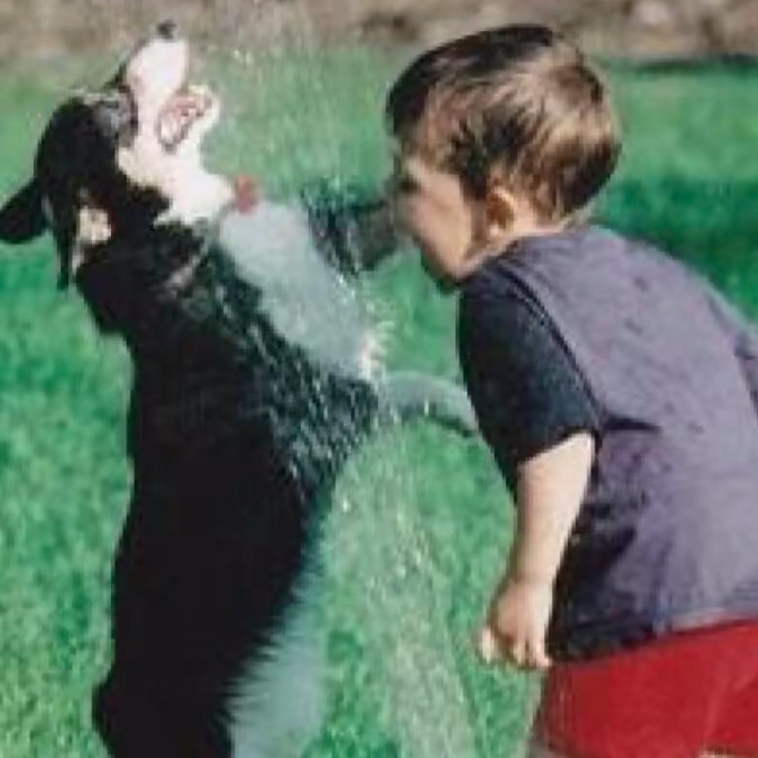 7686
