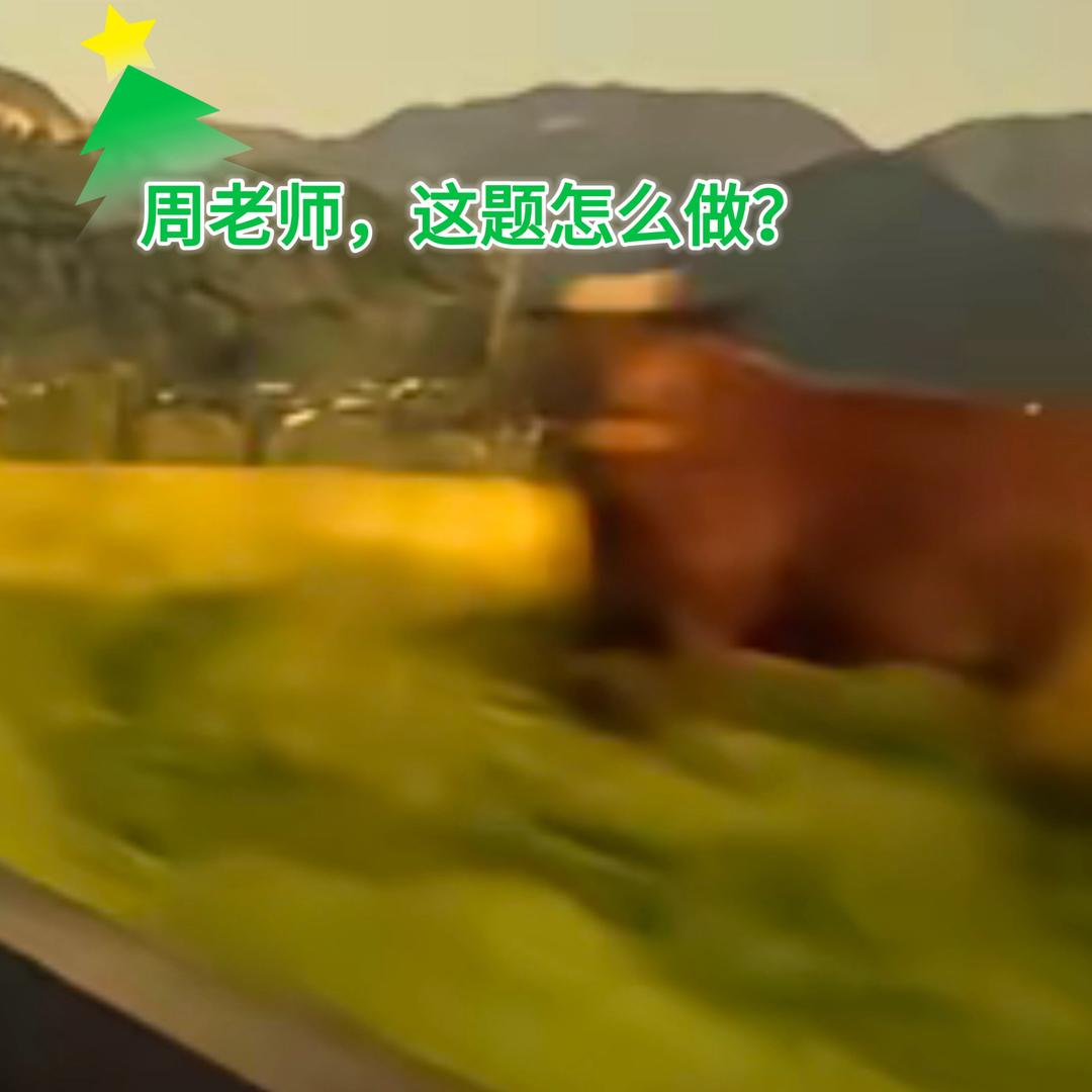 周老师讲思维方法
