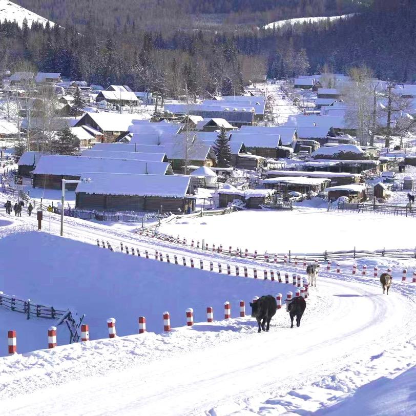 野马L队（新疆）