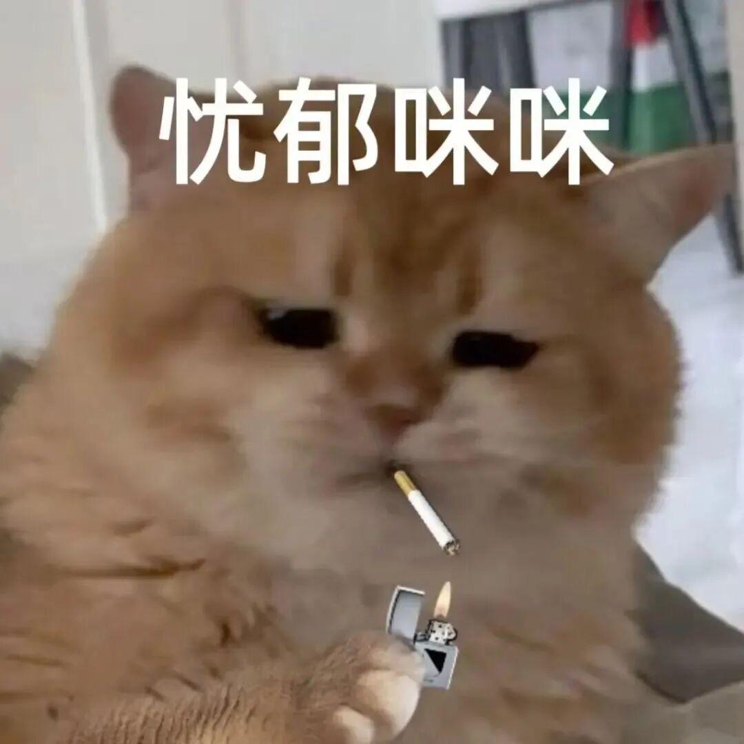 种一片菜林