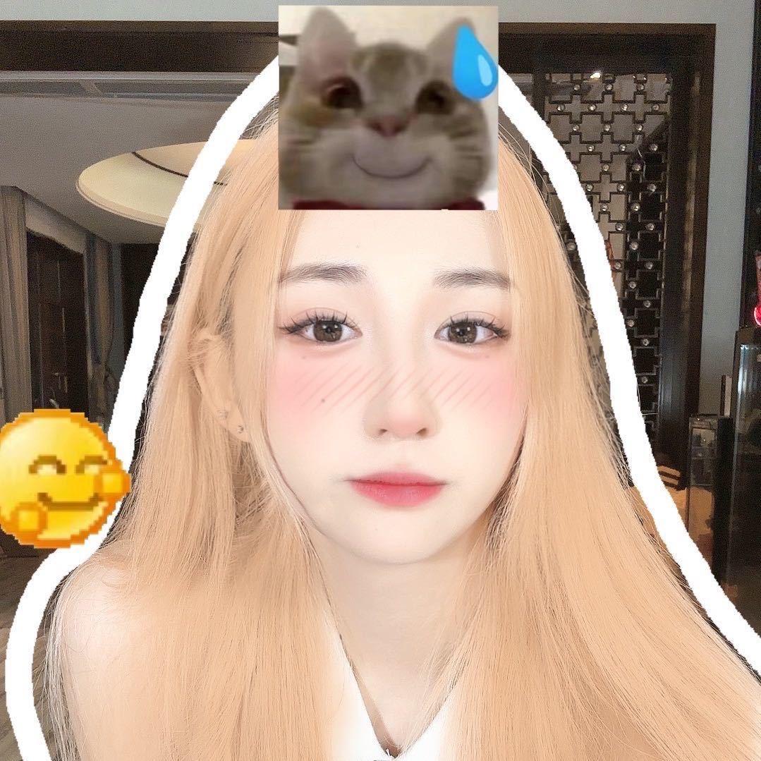 张星颖-