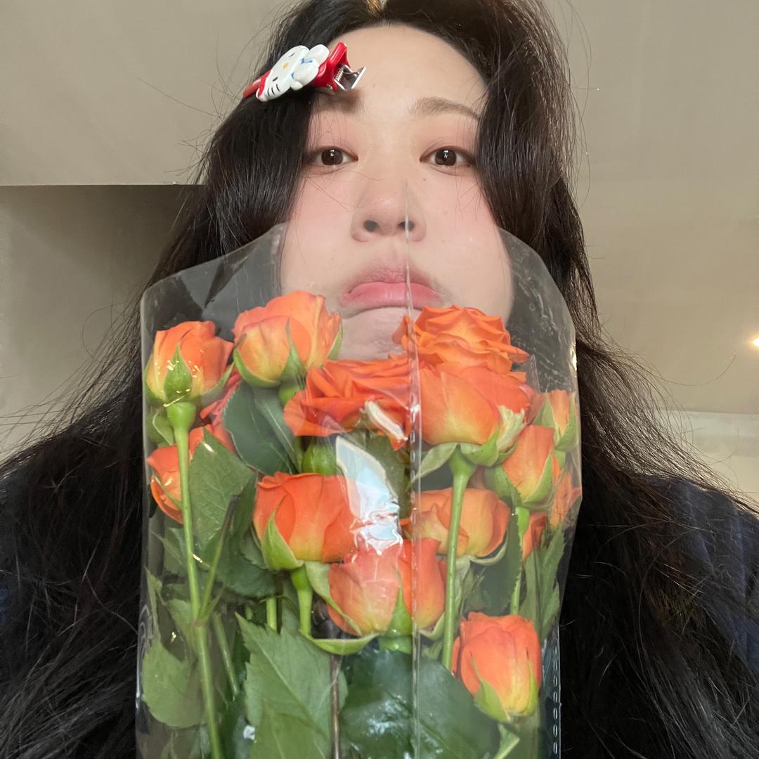 菜哈哈_