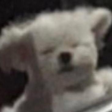 潘潘