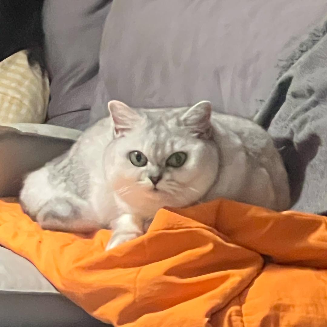 Zzzzz