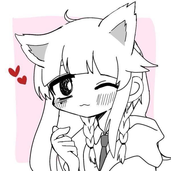 小冬猫