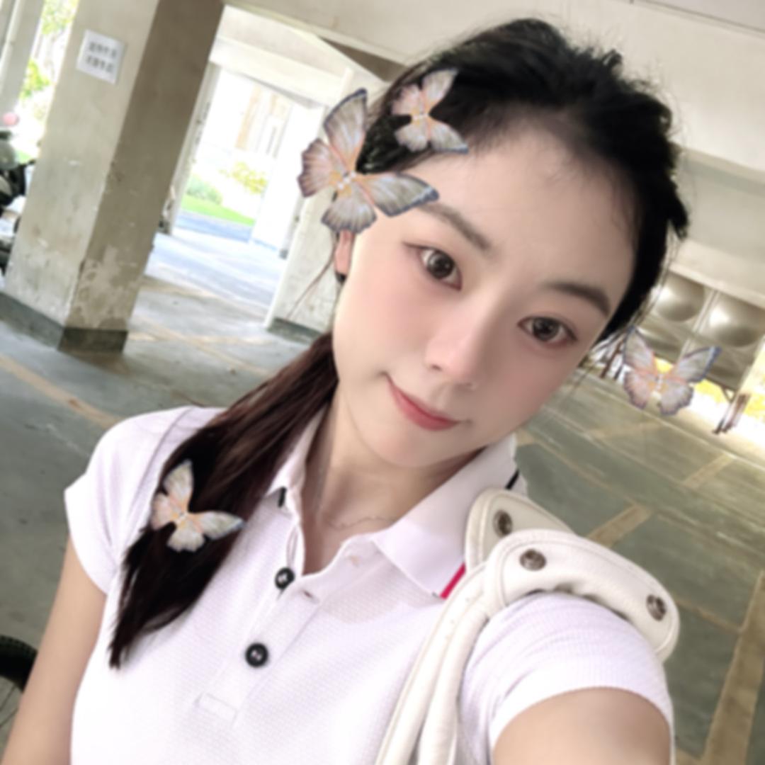 马达加斯加的企鹅