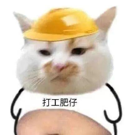 皮蛋