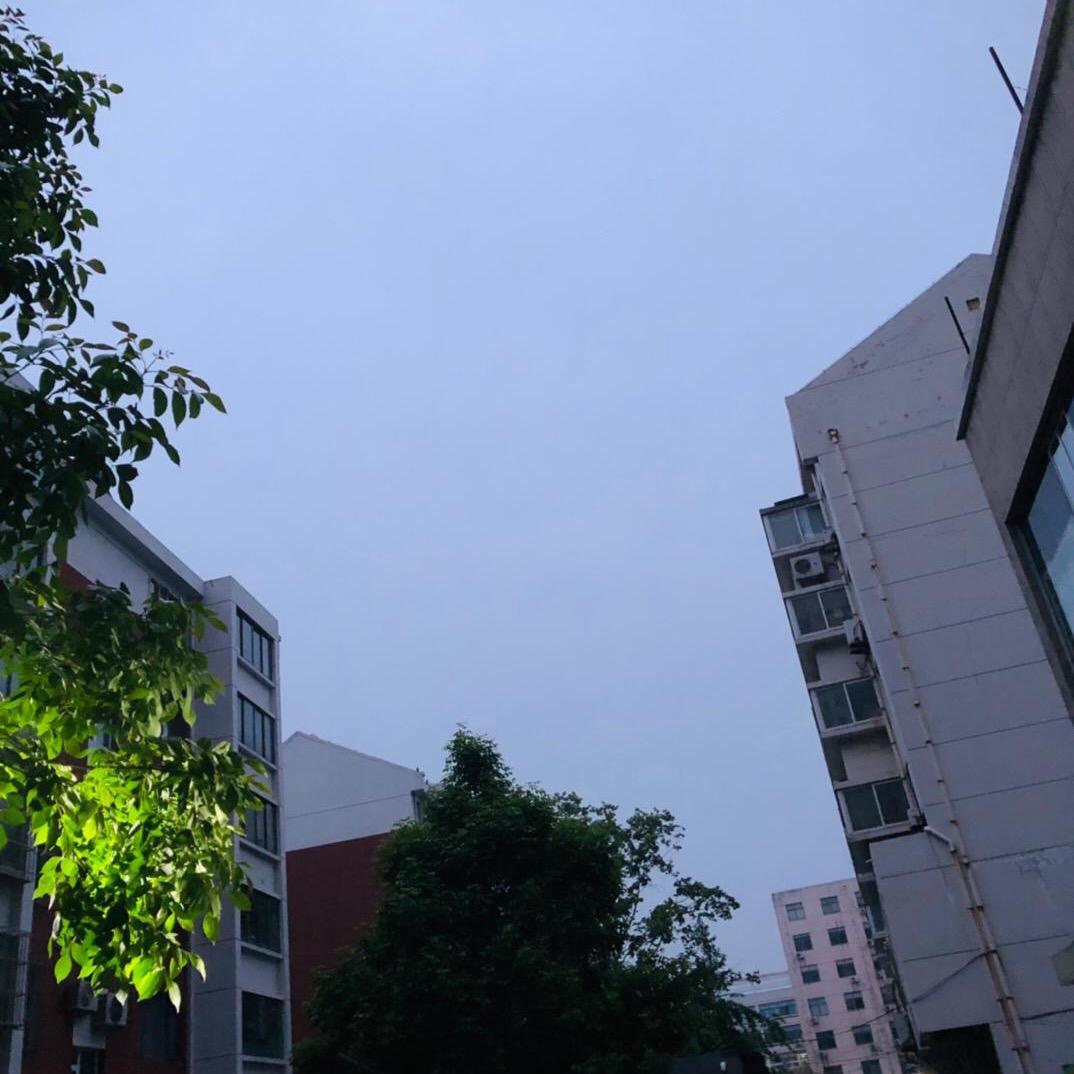 小霖霖