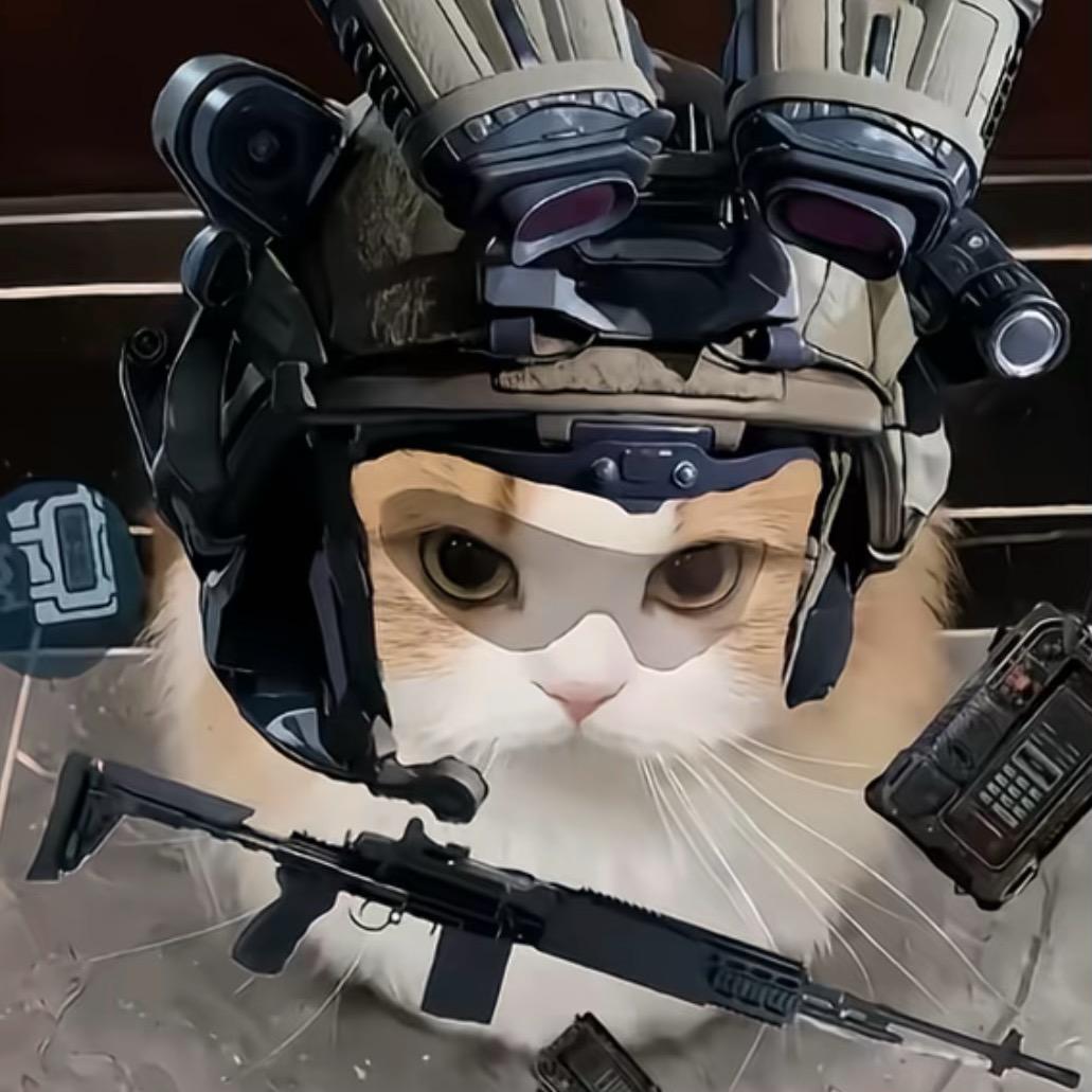 苏叶（三角洲行动）