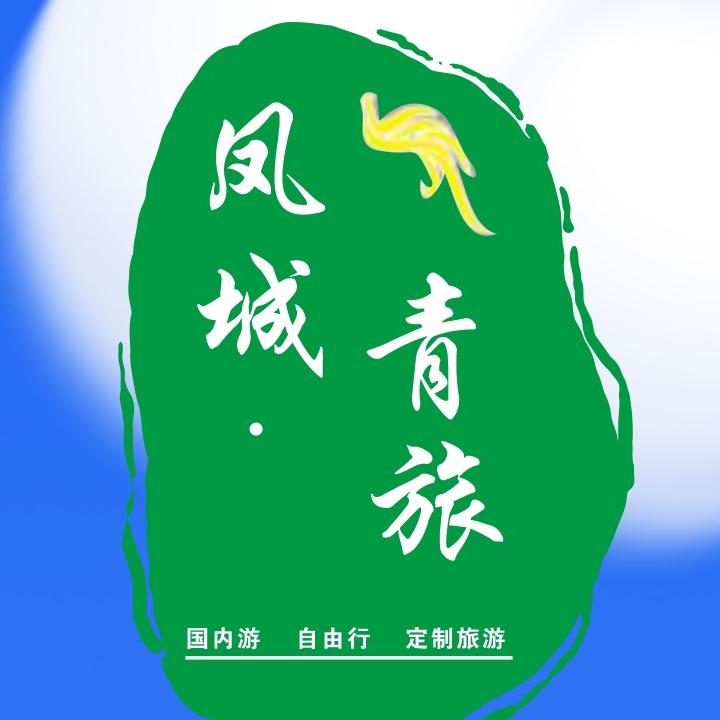 山西凤城青年旅行社有限公司