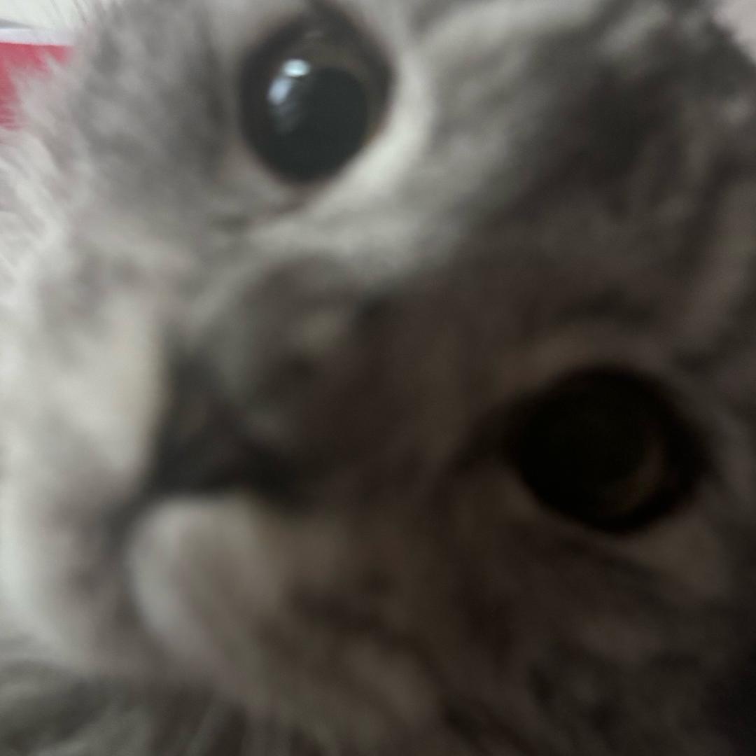 地狱吧没网
