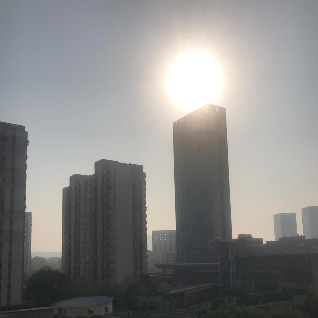 「南方太阳」