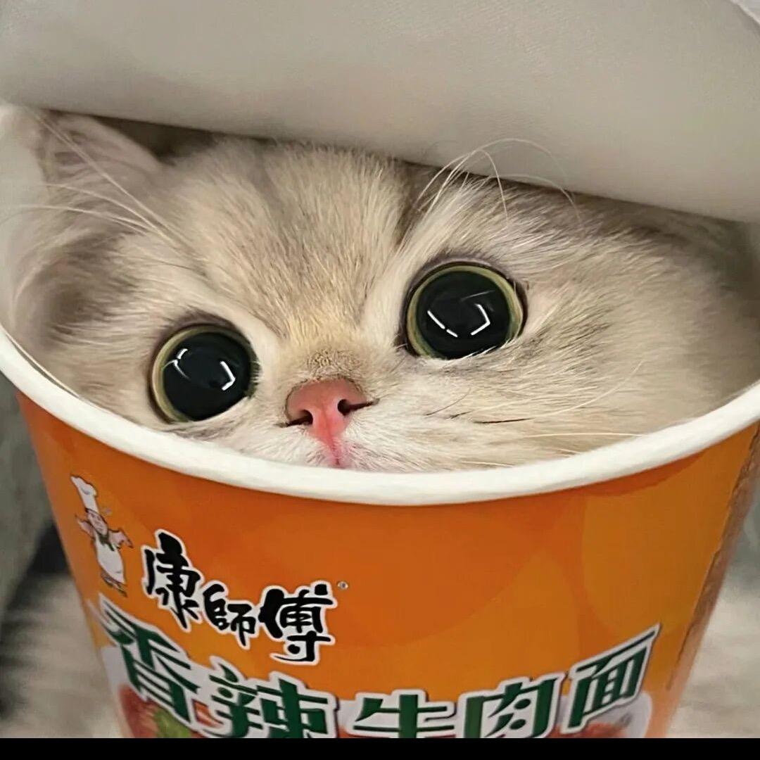 好运连连