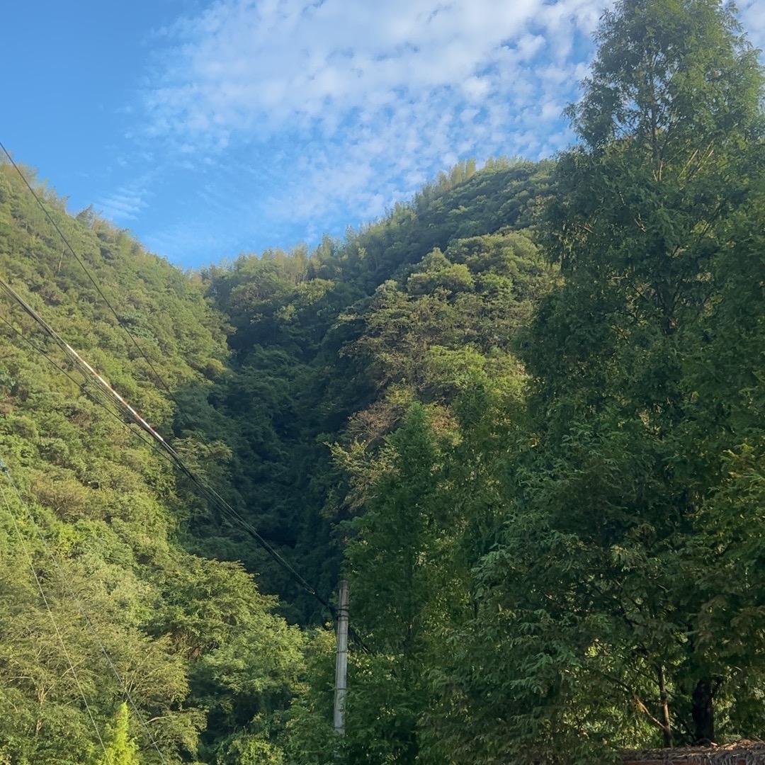 雯雯吖
