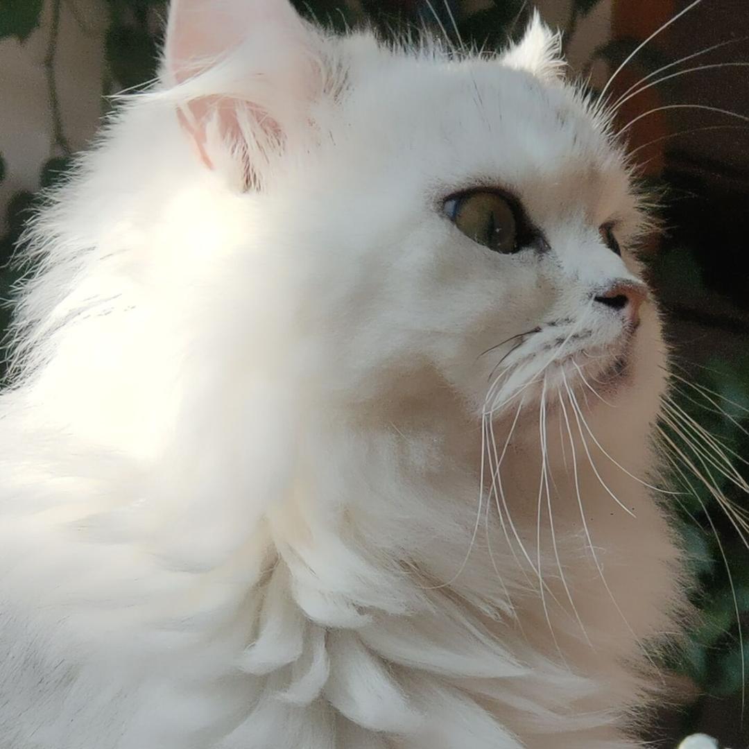 🌈是怡动哦🧚‍♂️