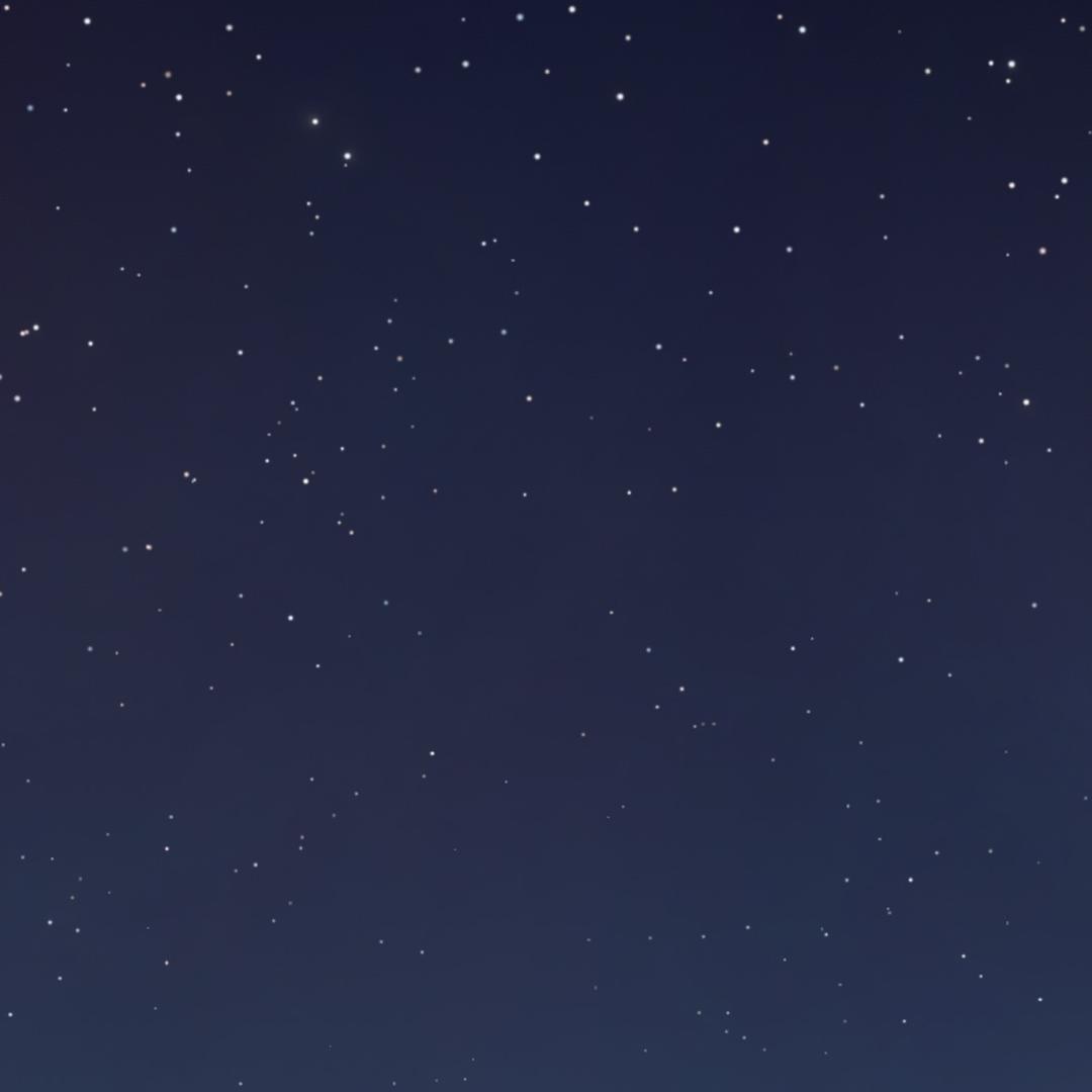 _伟