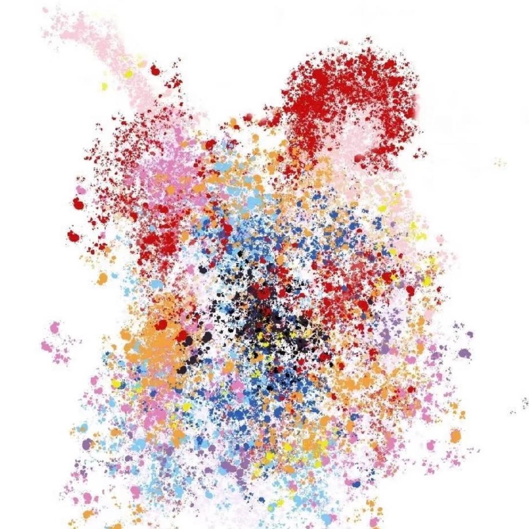 番茄味儿的开心果