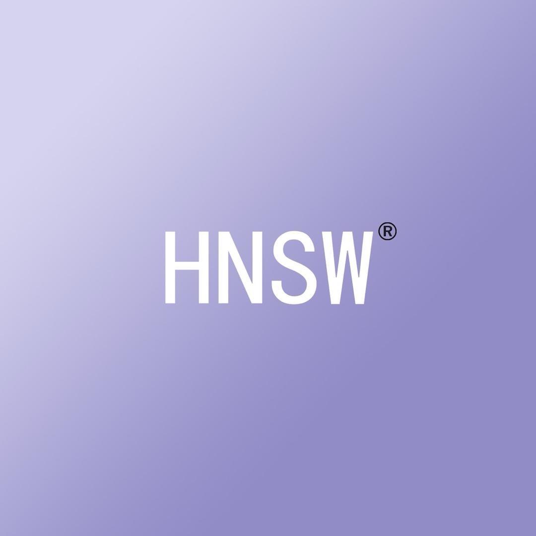 HNSW官方旗舰店