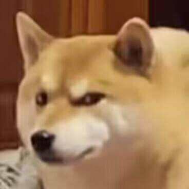 大王叫我来追剧