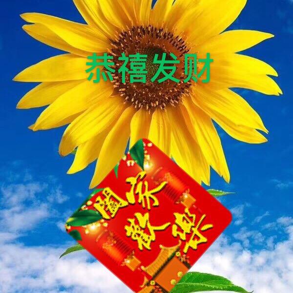 【春暖花开】林哥