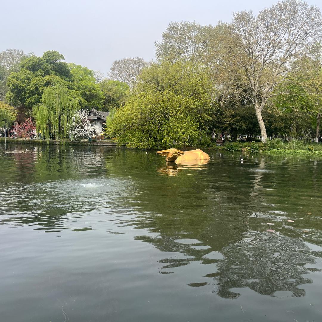 菏泽大永炒面
