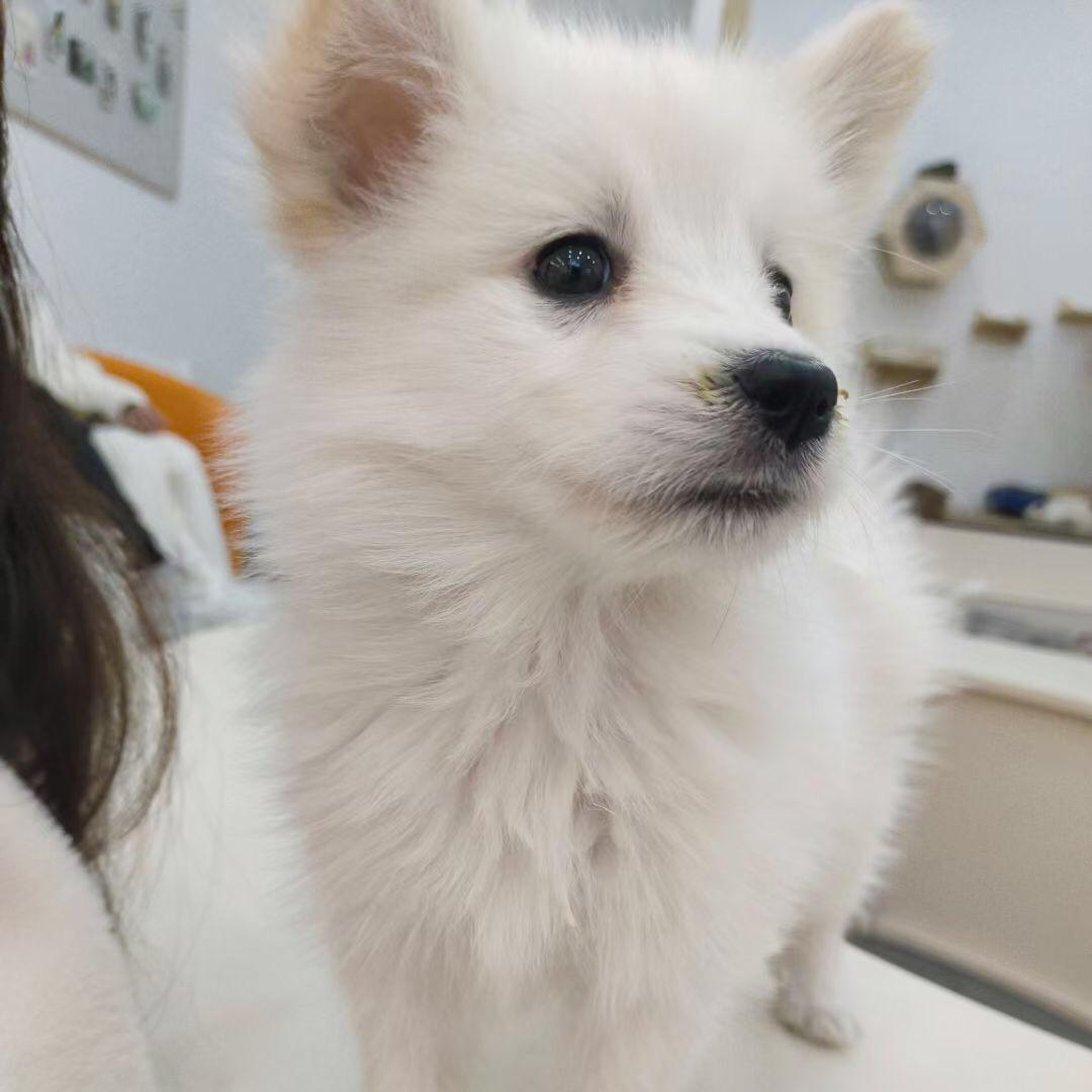 @爱上拿铁