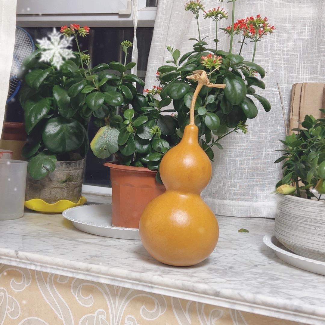 永惠葫芦铺子