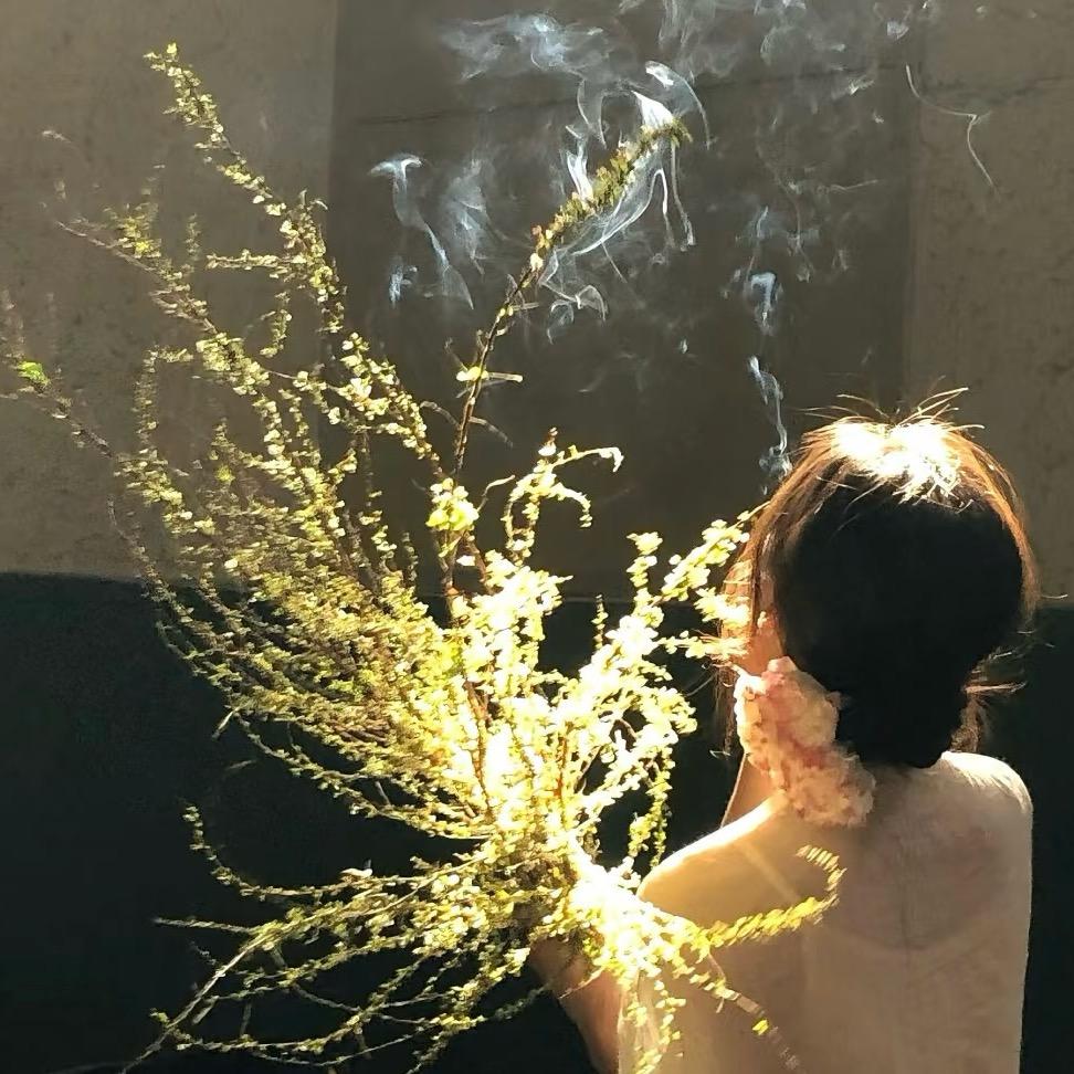 阿里嘎多美羊羊