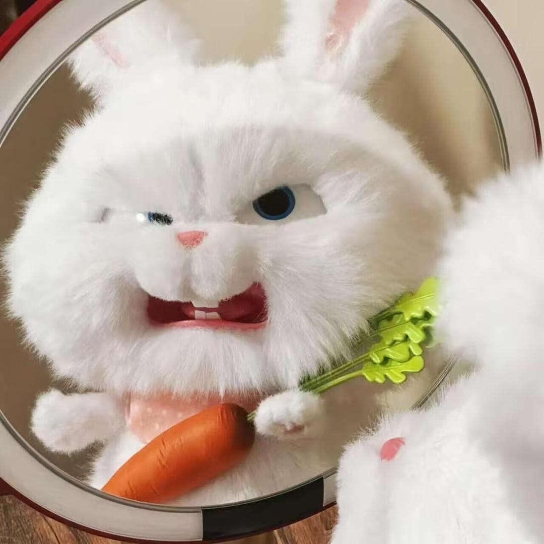 小萝卜头🥕