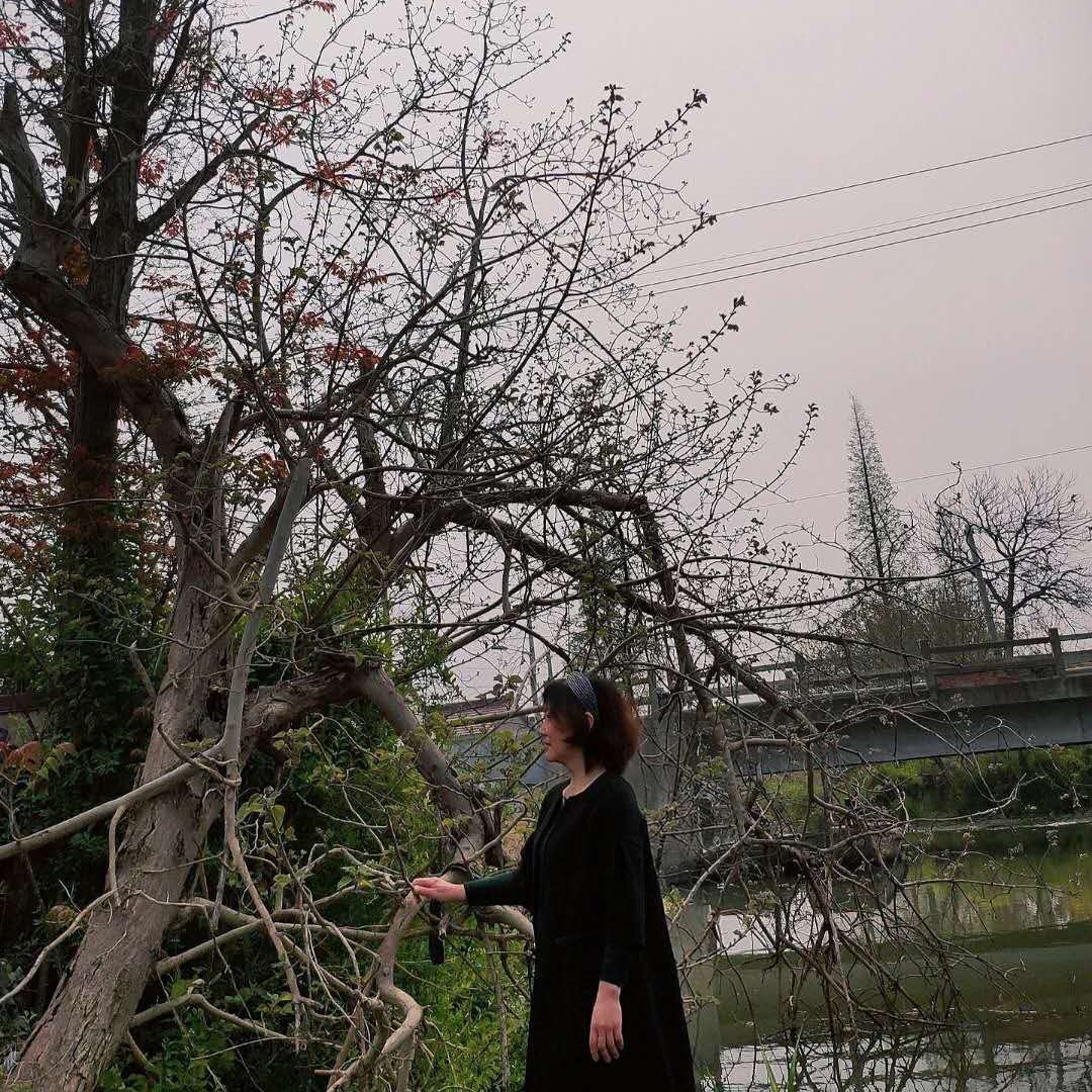 梁粱
