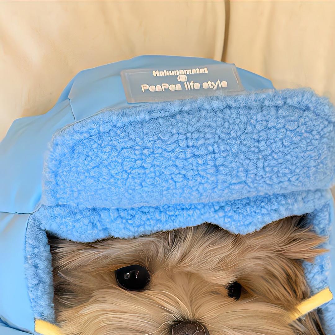 金味龙食品优选