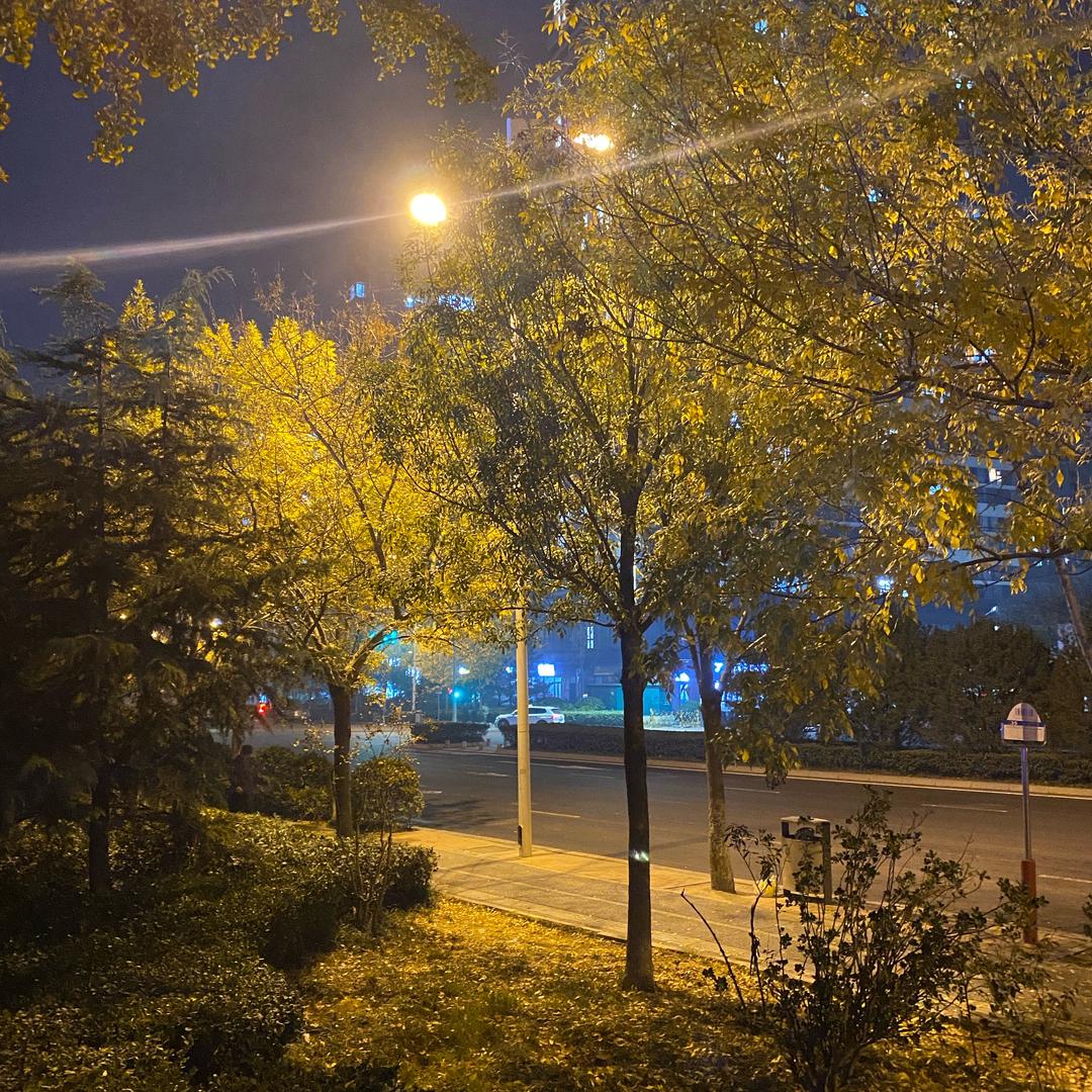 阿斯顿发