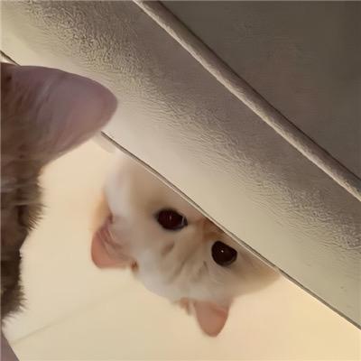 鬼鬼啊