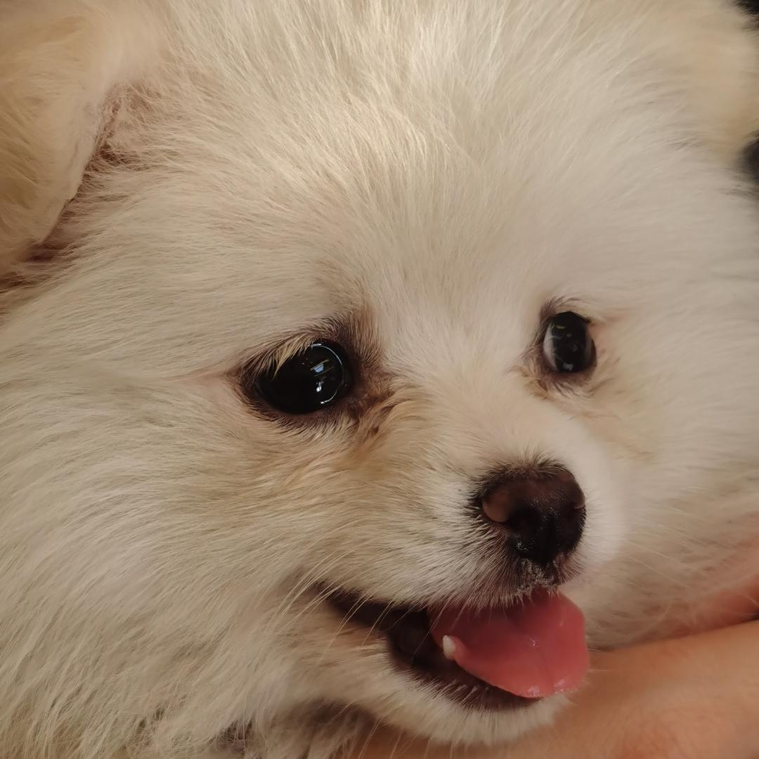 💕未来可期💕 ✨