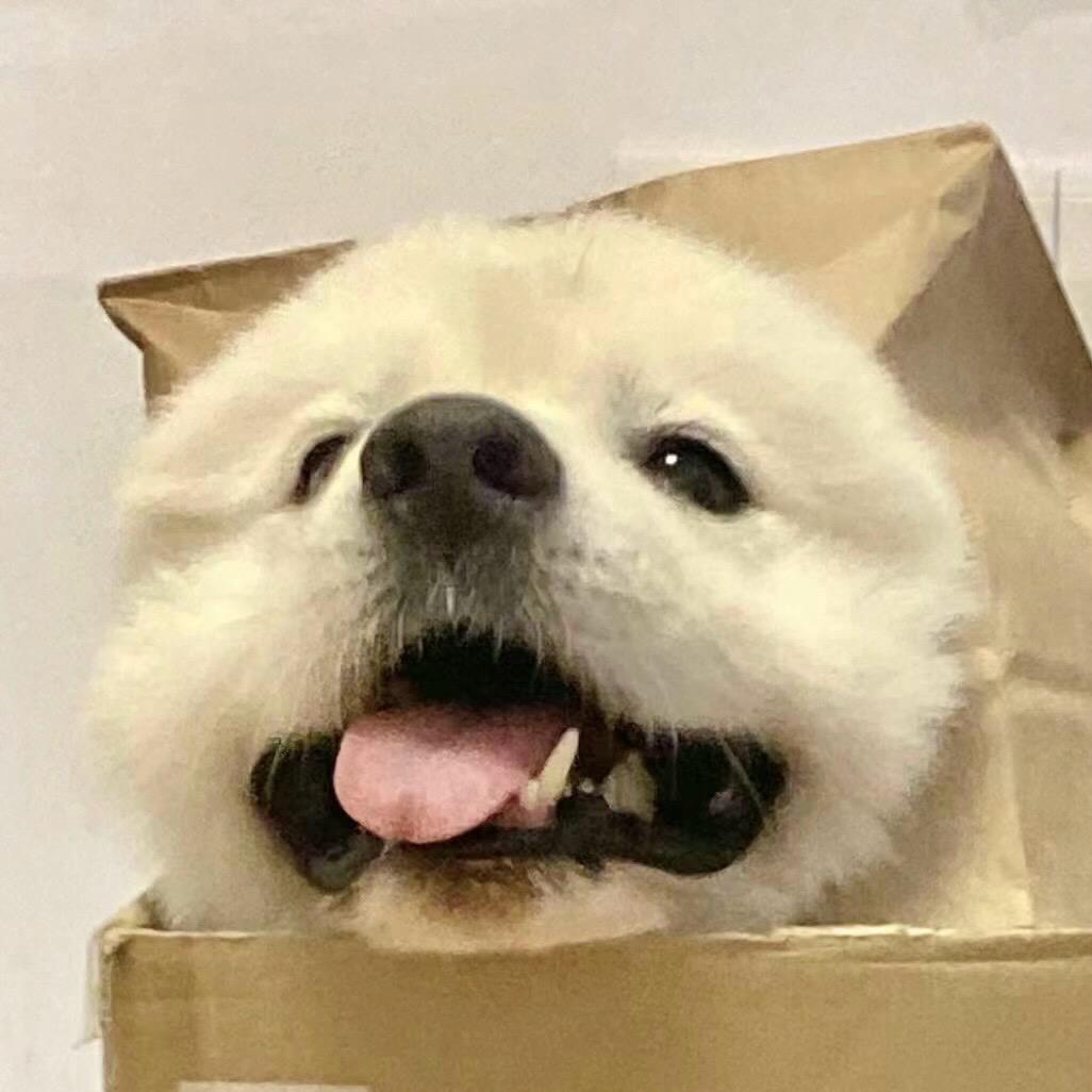 浅笑