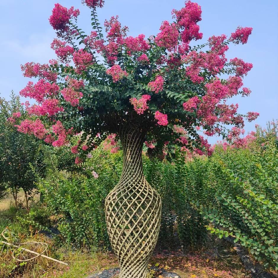 花艺时光园林