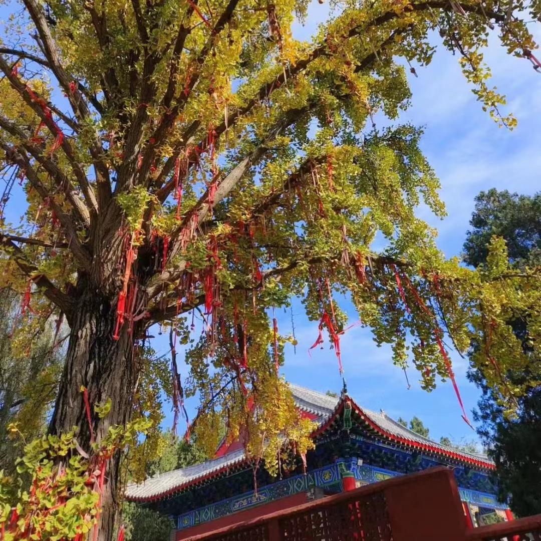 安渝