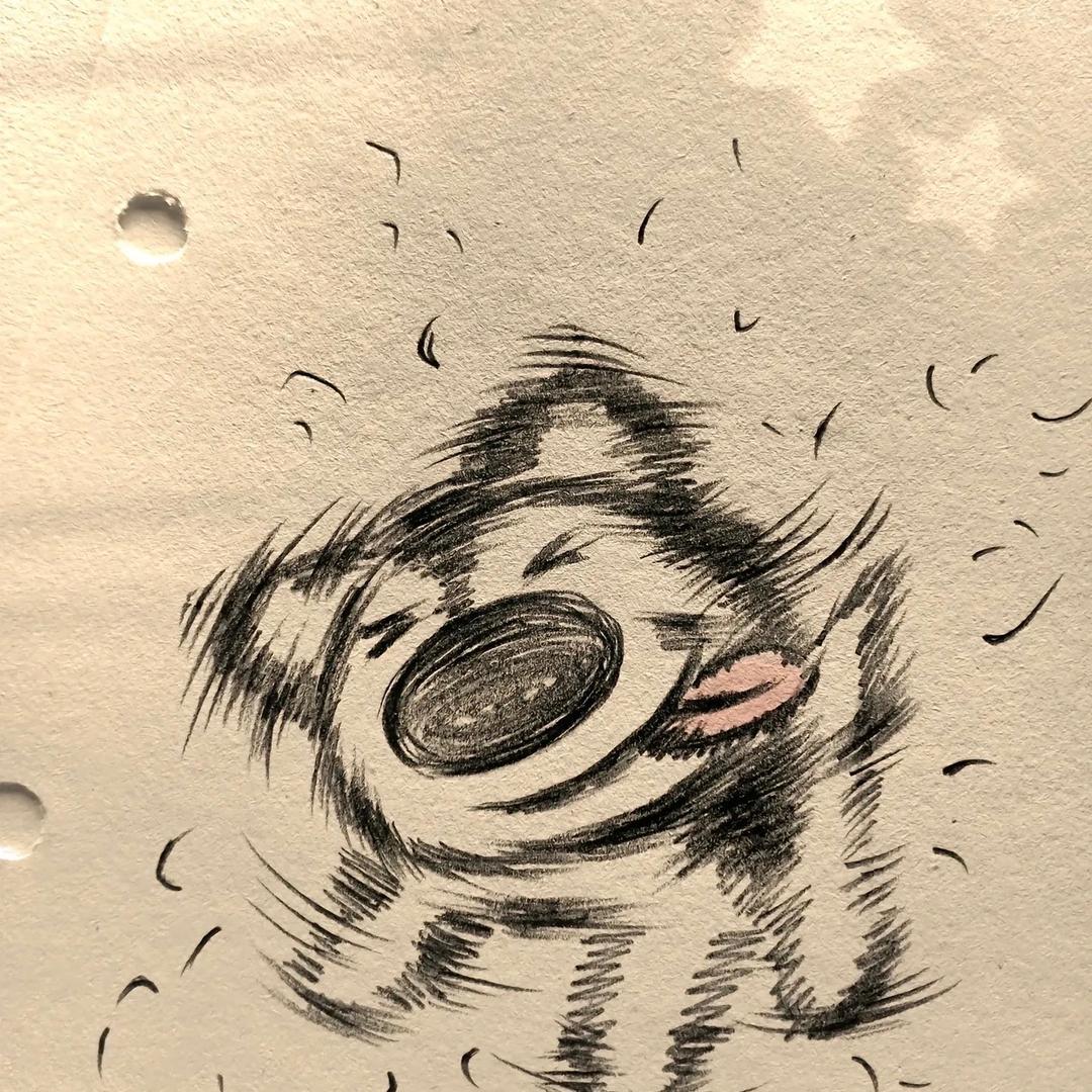 一半🦋