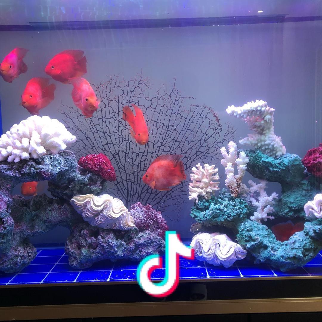 御唐府＠潘淼〈博鳌店〉