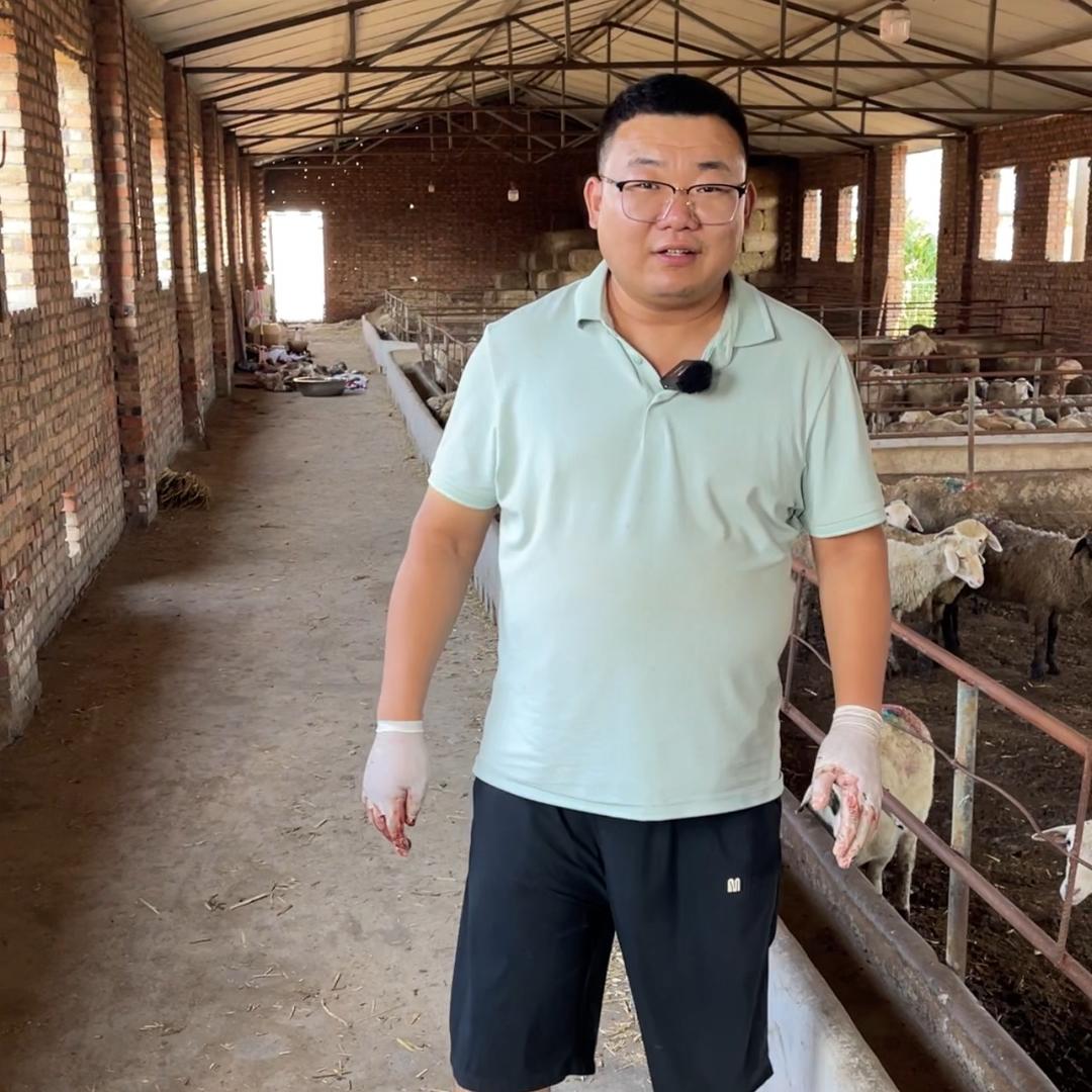 王二帅养殖