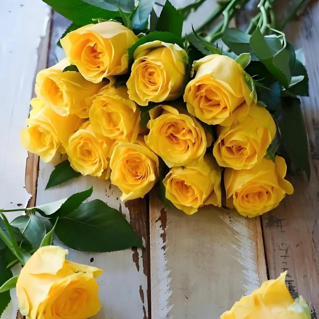 雨林花卉（斗南鲜花全国批发）