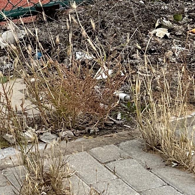 随心所欲（00后不回复）