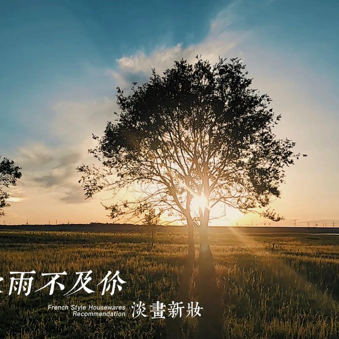 金景丽