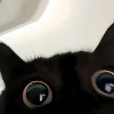 1                 -