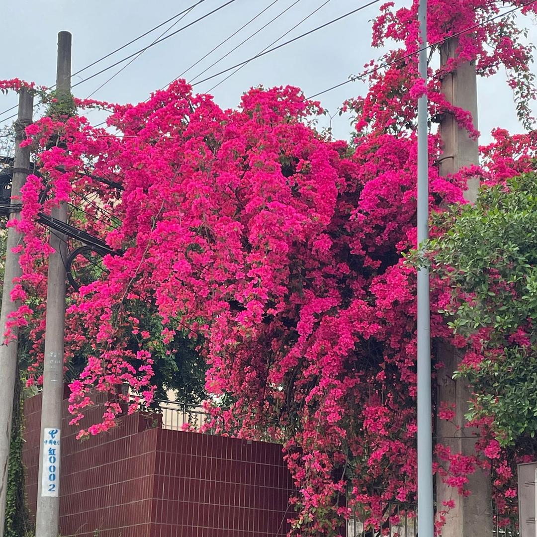 重庆经贸校-刘老师