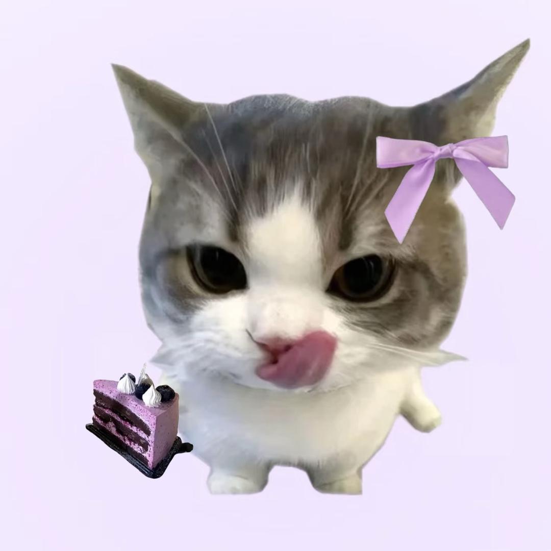 Y S M
