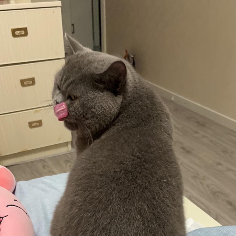 依
