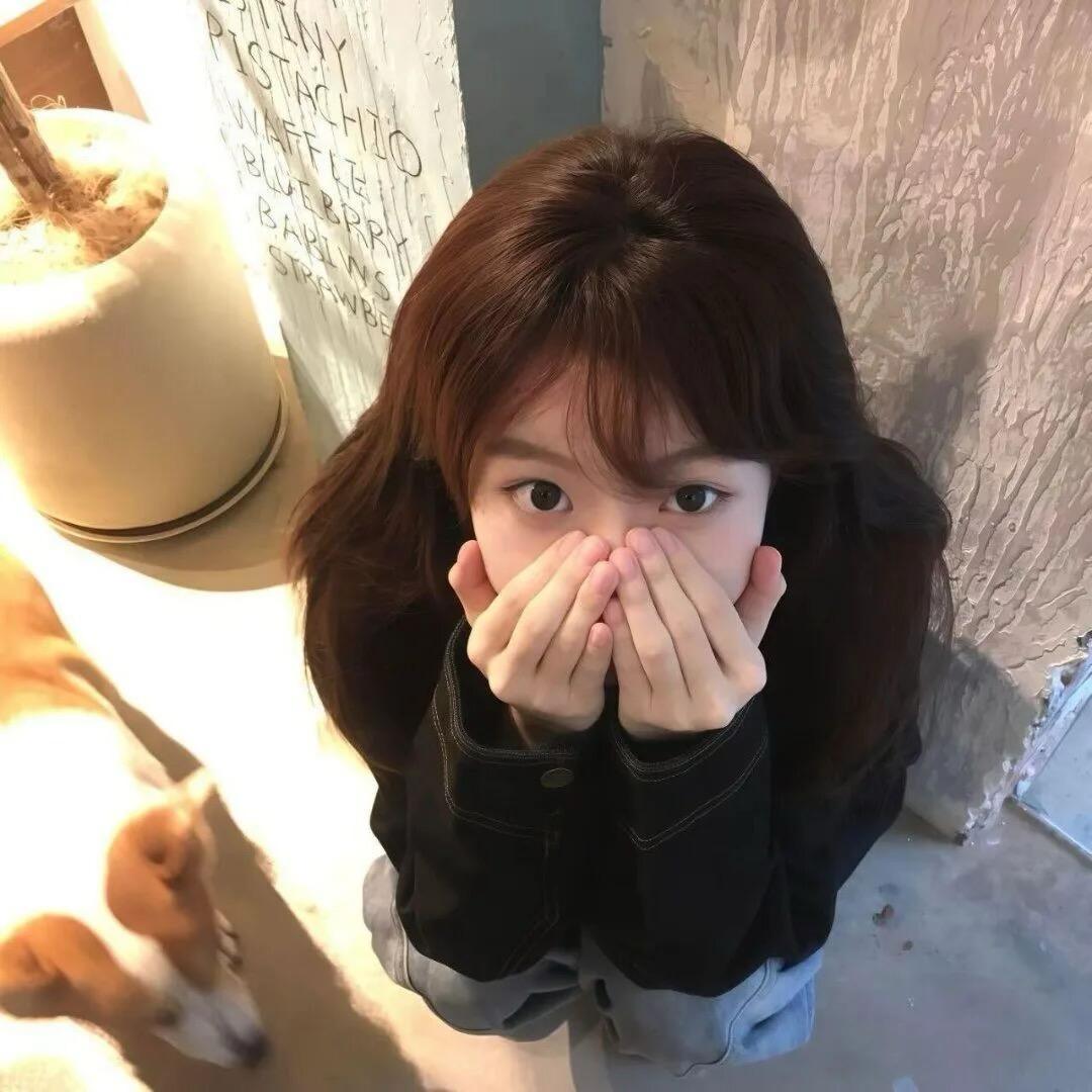 权威的鱼头